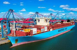 The Reason Why There are Still Maersk’s Vessels Calling at Russian Ports